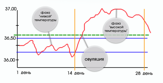 Как узнать при боли в животе Как узнать при боли в животе