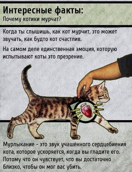 http://forum.materinstvo.ru/uploads/1401880318//post-413500-1402141986.jpeg