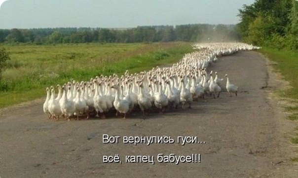 http://forum.materinstvo.ru/uploads/1476015763//post-416847-1476101470.jpg