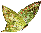 http://forum.materinstvo.ru/uploads/journals/1256418718/j73170_1256493995.gif