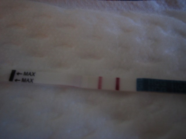 Тест на беременность в руке 2 полоски. Тест с двумя полосками. Положительный тест на беременность. Тест на беременность фото. Положительный тест на беременность в руке.