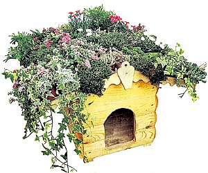 http://forum.materinstvo.ru/uploads/1253999955//post-12821-1254120661.jpg