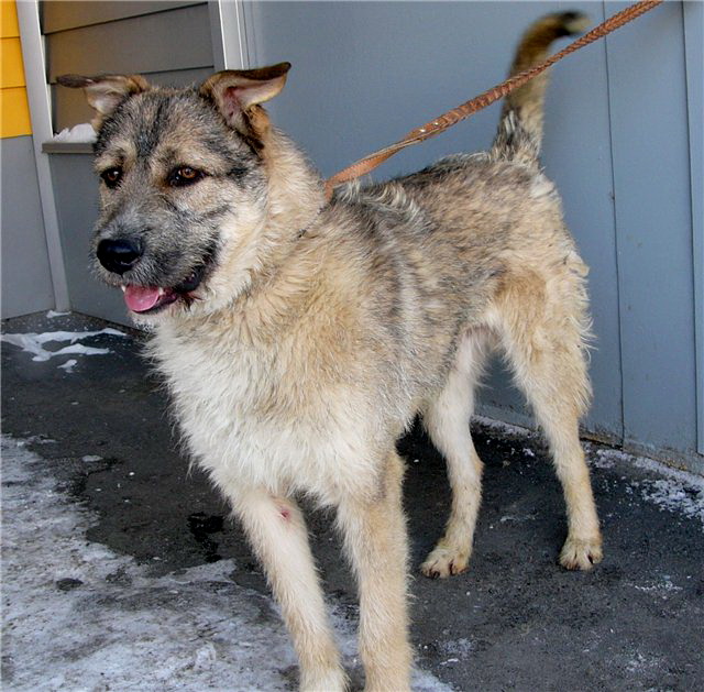 http://forum.materinstvo.ru/uploads/1299054151//post-373522-1299161582.jpg