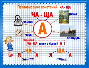 Правило ча ща чу щу примеры