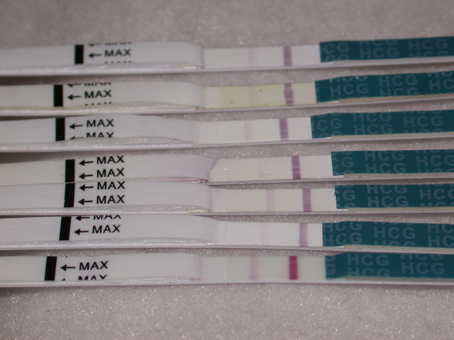 Выкидыш падает хгч. Укол ХГЧ тест на беременность. Тесты после укола ХГЧ. Может после укола ХГЧ тест положительный. Тест на беременность после укола ХГЧ.