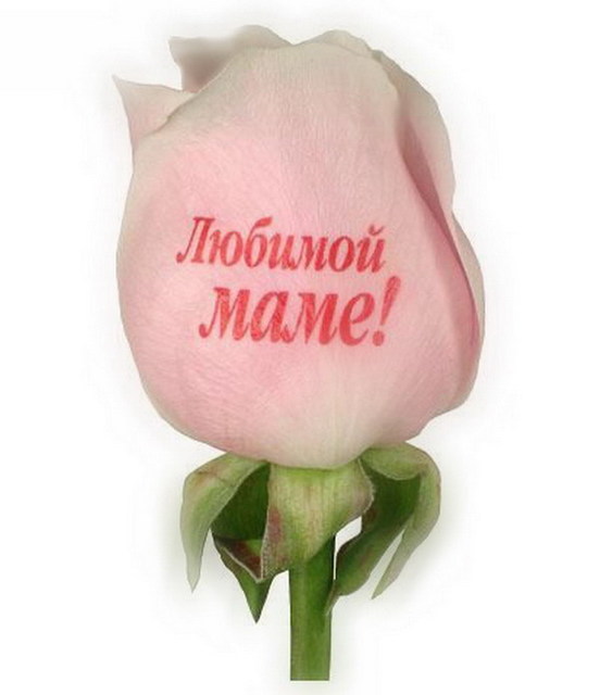 Красивые картинки с надписями маме, ненависти мужчине