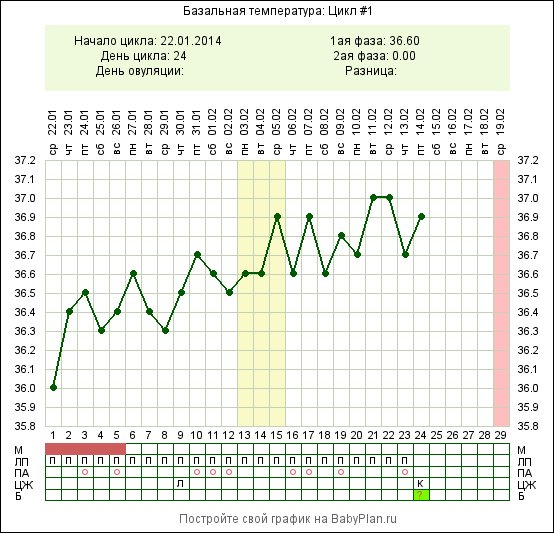 Сколько температура при беременности. График БТ В беременный цикл. График базальной температуры в беременный цикл. График базальной температуры во второй фазе цикла. Базальная температура на 25 день цикла.