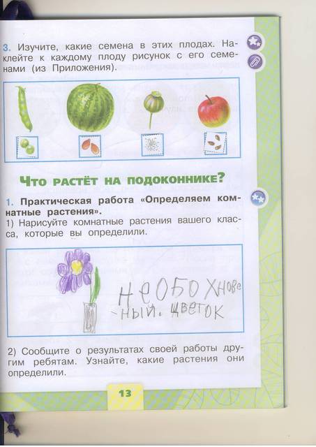Рассмотри как выполнены. Практическая работа изучаем части растений. Практическая работа определяем комнатные растения. Практическая работа изучаем части растений 1 класс. Практическая работа изучаем части растений 1 класс окружающий.