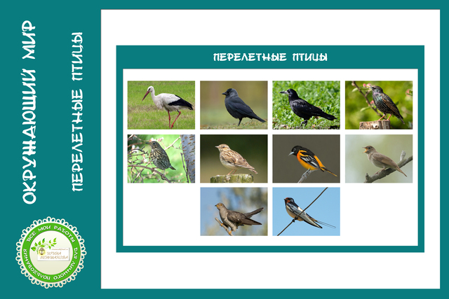 Летят перелетные птицы.