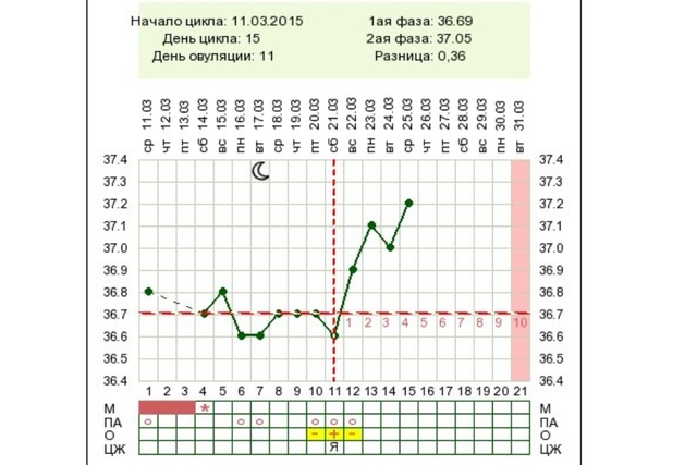 Овуляция 32 цикл