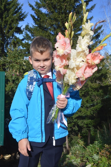 С днем знаний гладиолусы