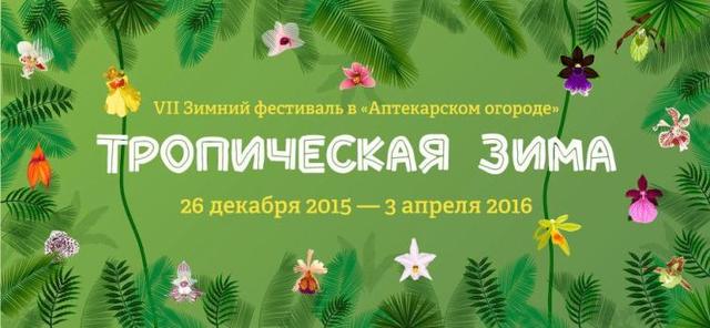 Тропики зима