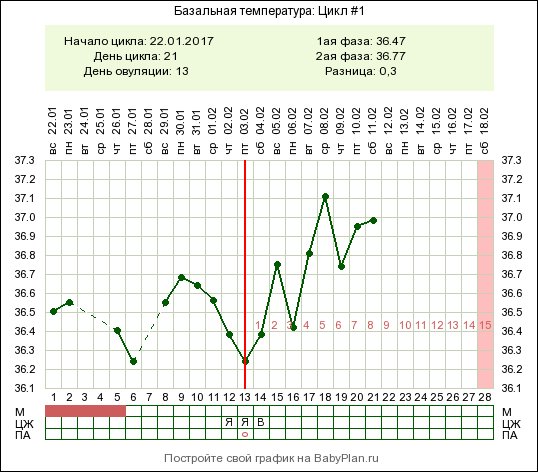 Базальная температура у женщин