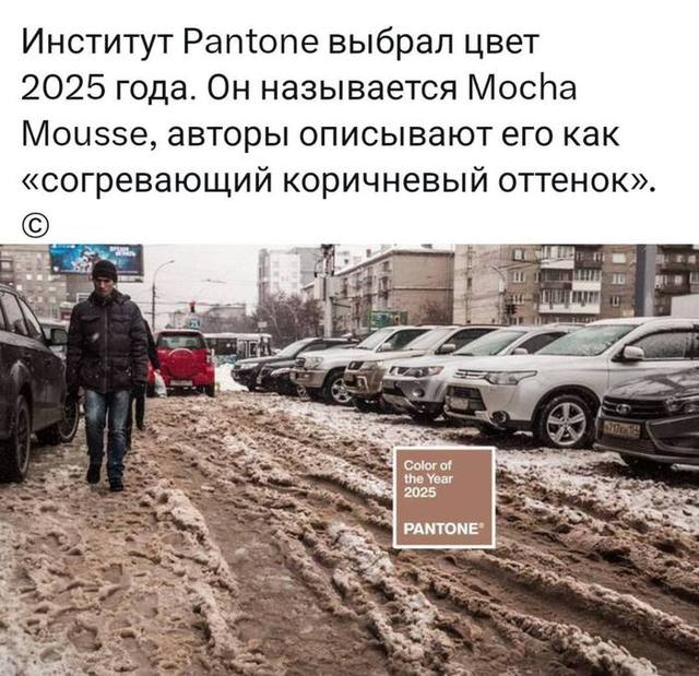 Добрый день картинки прикольные смешные для настроения